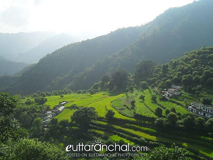 A Quite Village nestled in the lap of nature in Pauri