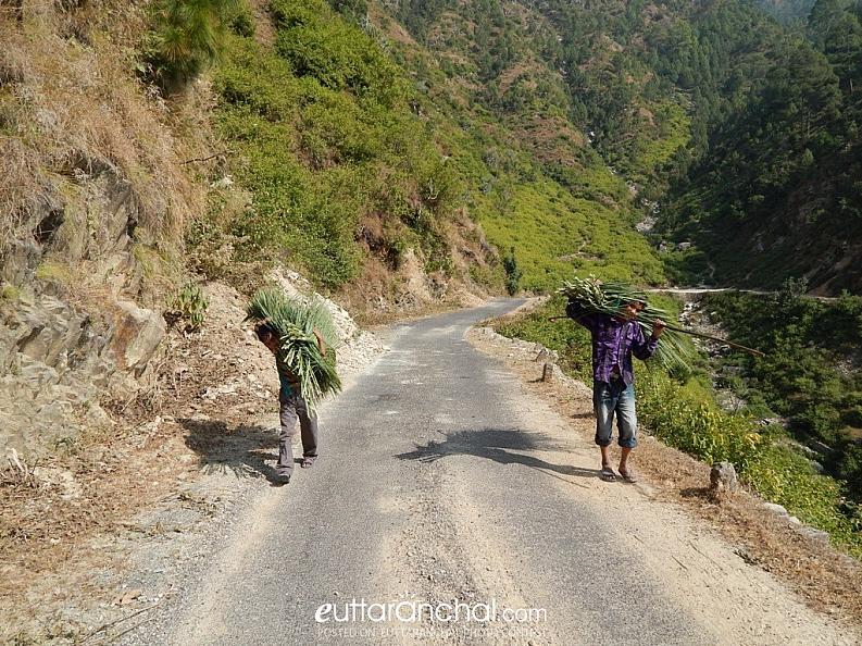 Hardworking Children of  Uttarakhand