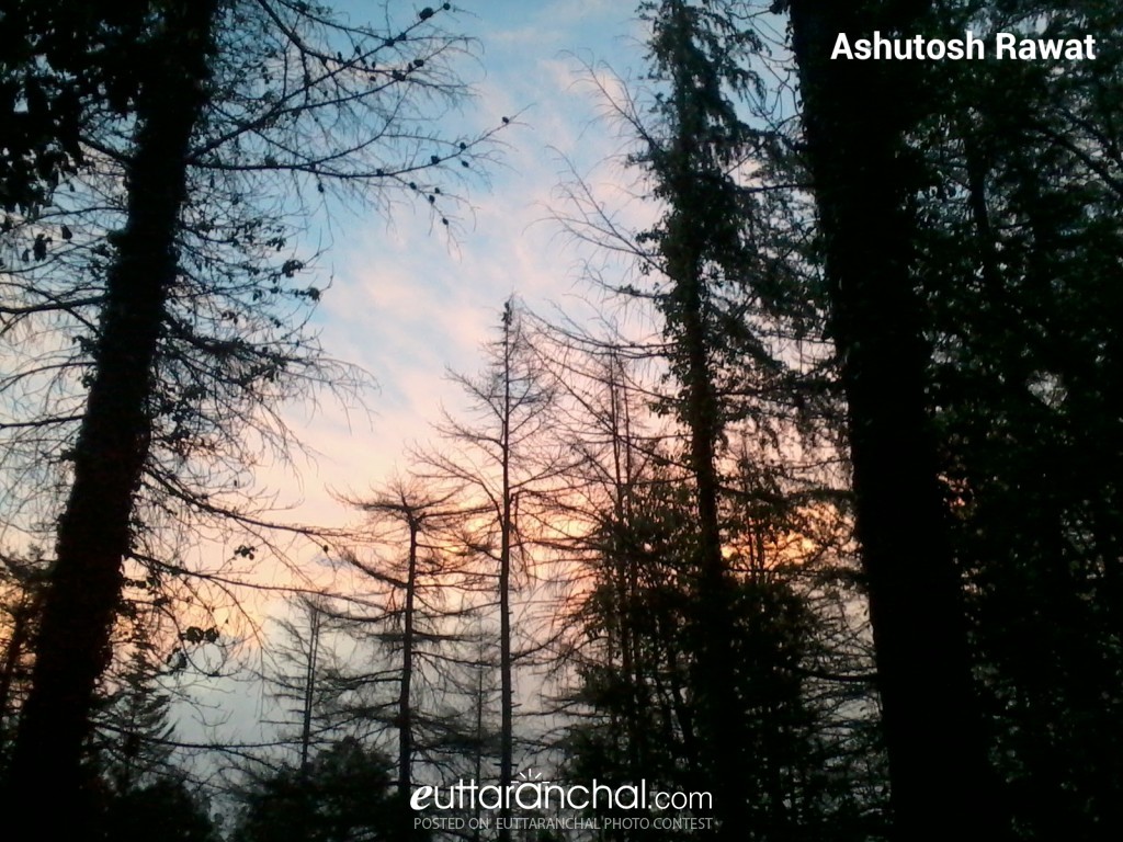 beautiful evening view