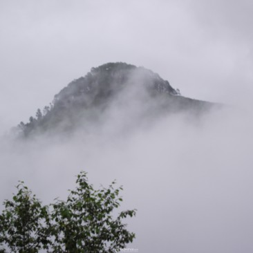 Hilltop hidden behind the mist