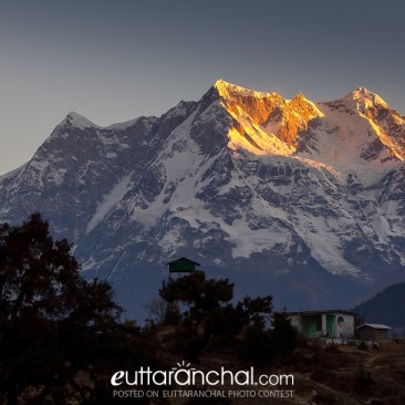 Life in Himalaya